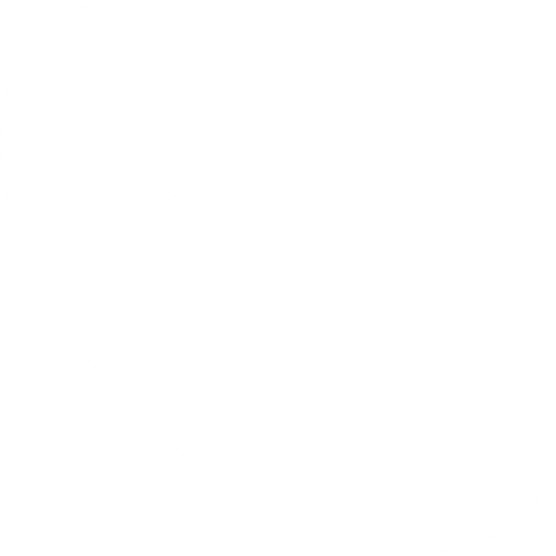 phone-call-white-icon